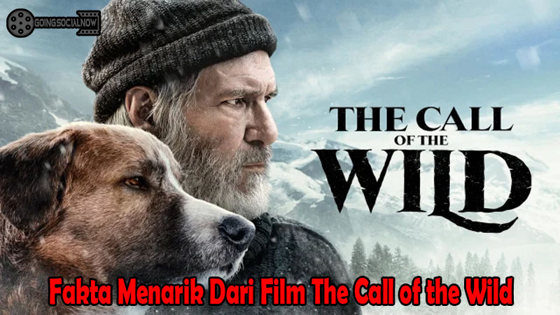 Fakta Menarik Dari Film The Call of the Wild